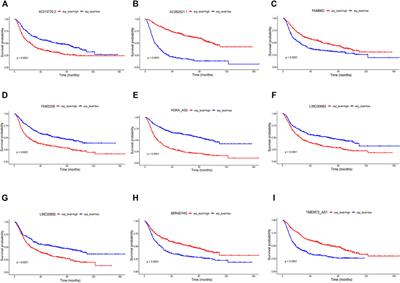 Identification of Ferroptosis-Related Biomarkers for Prognosis and Immunotherapy in Patients With Glioma